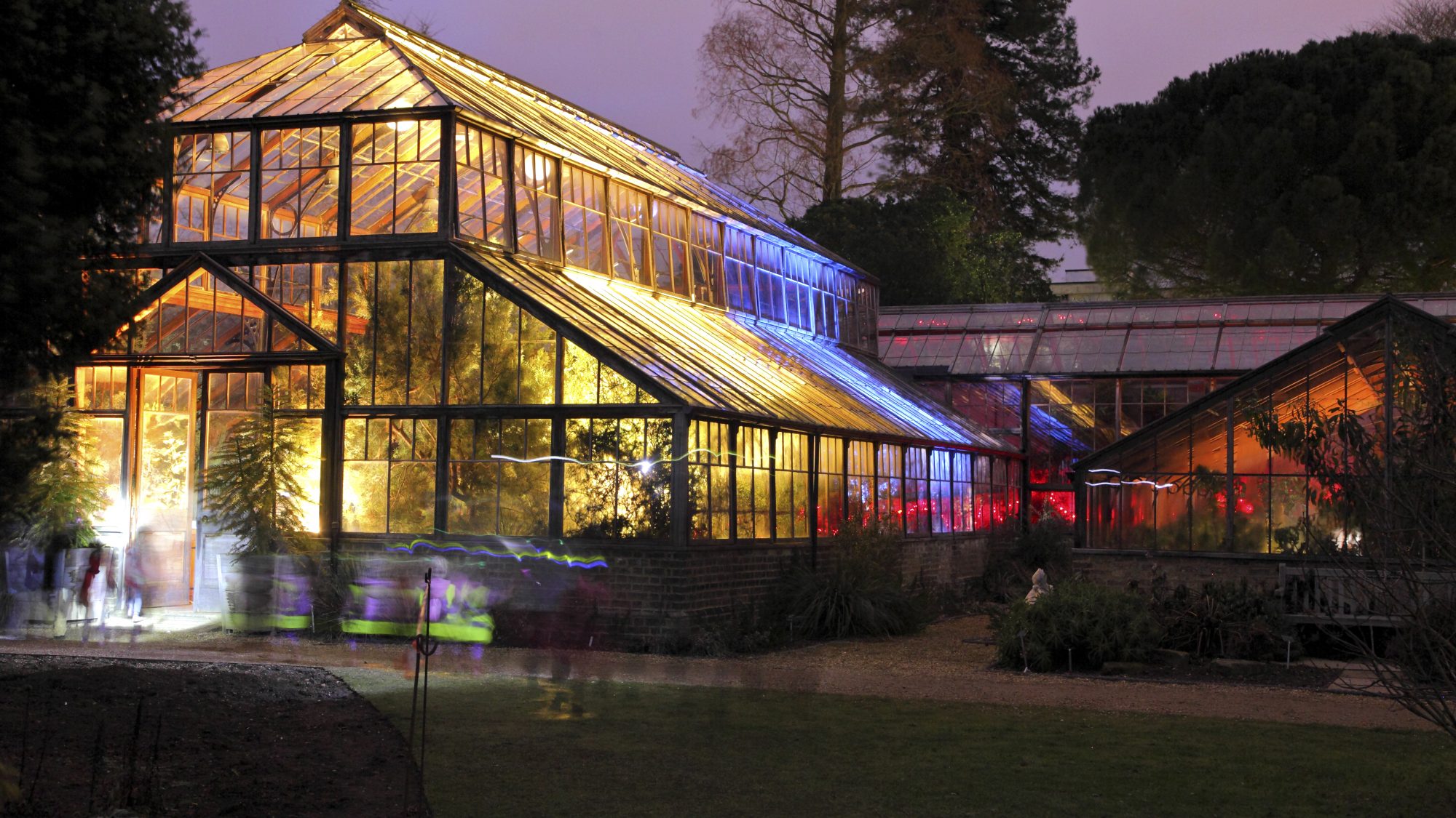 Image of Cambridge Botanic Garden Glasshouse range at night time event