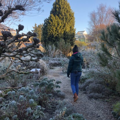 Half-term Tours and Talks