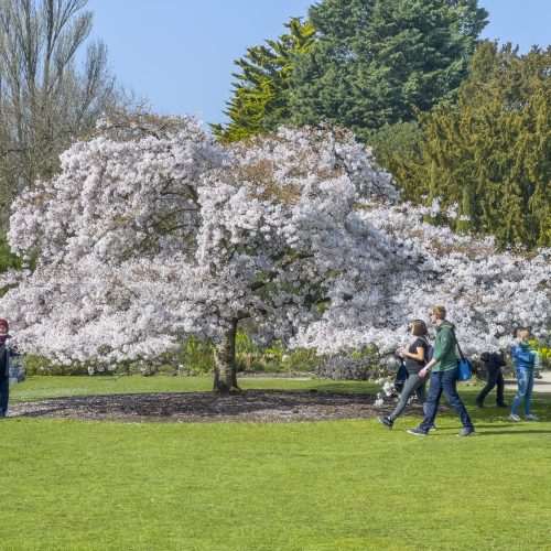 What’s On this Spring 2023