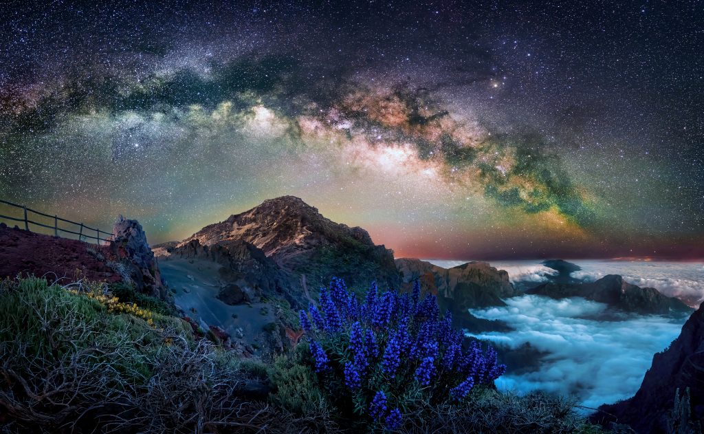 view of the night sky showing the night sky and Milky Way above the mountains and shrubs of the Canary Islands