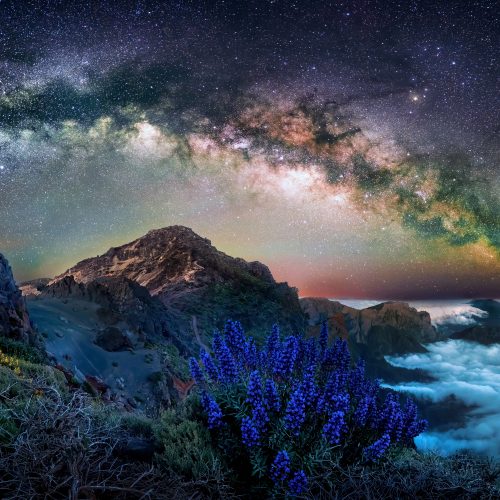 The International Garden Photographer of the Year (IGPOTY) outdoor exhibition returns to the Garden