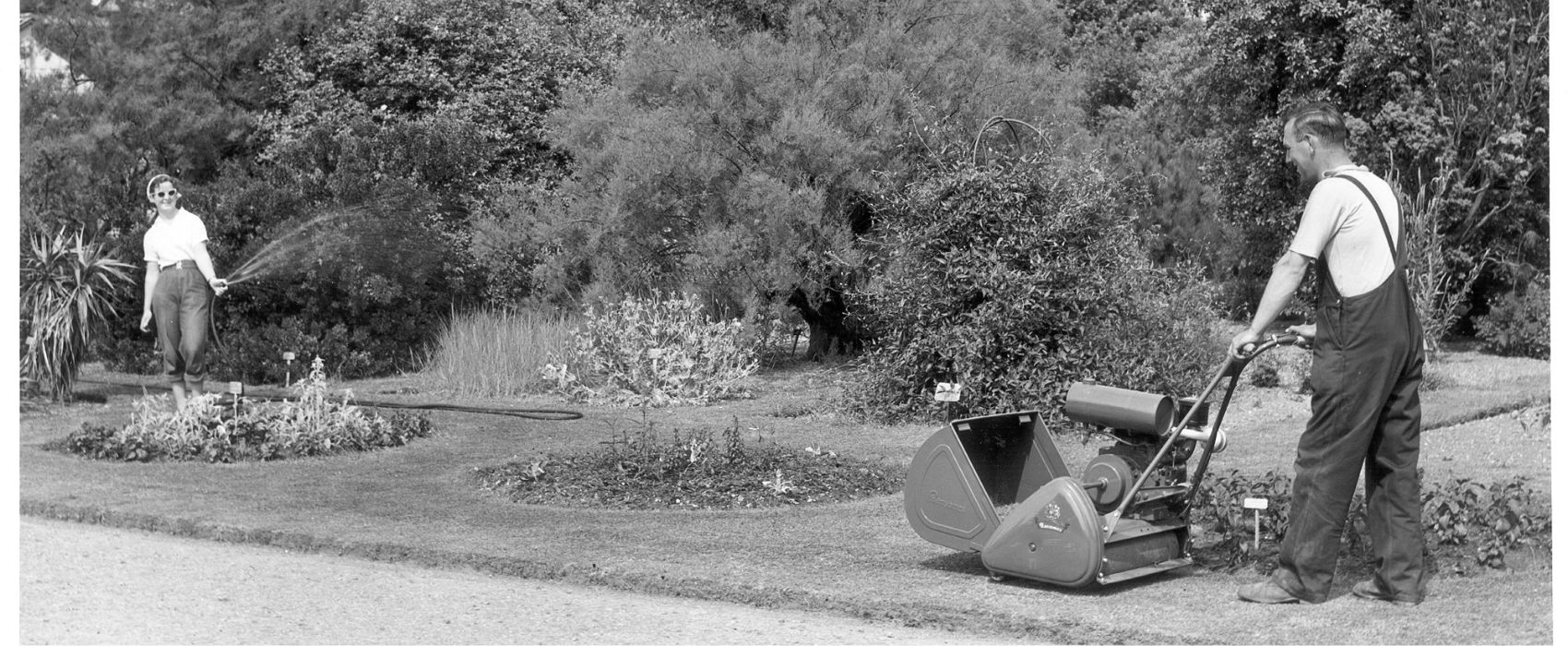 Black and white historical photo of a male gardener with a lawnmower and a female gardener watering with a hosepipe.