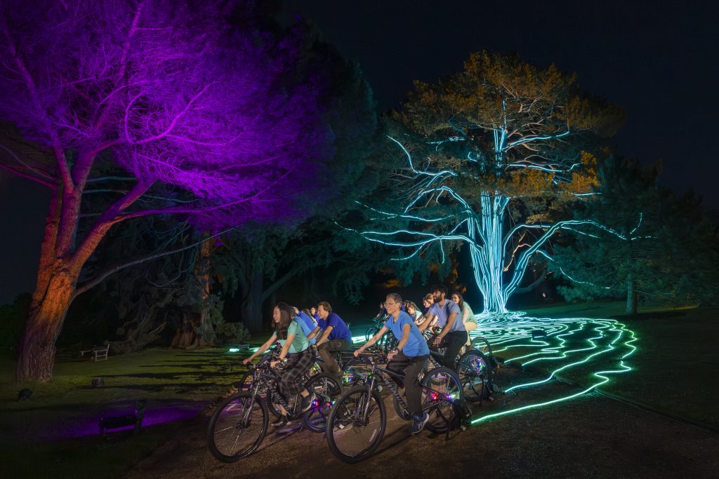 cyclists powering a beautifully lit up tree