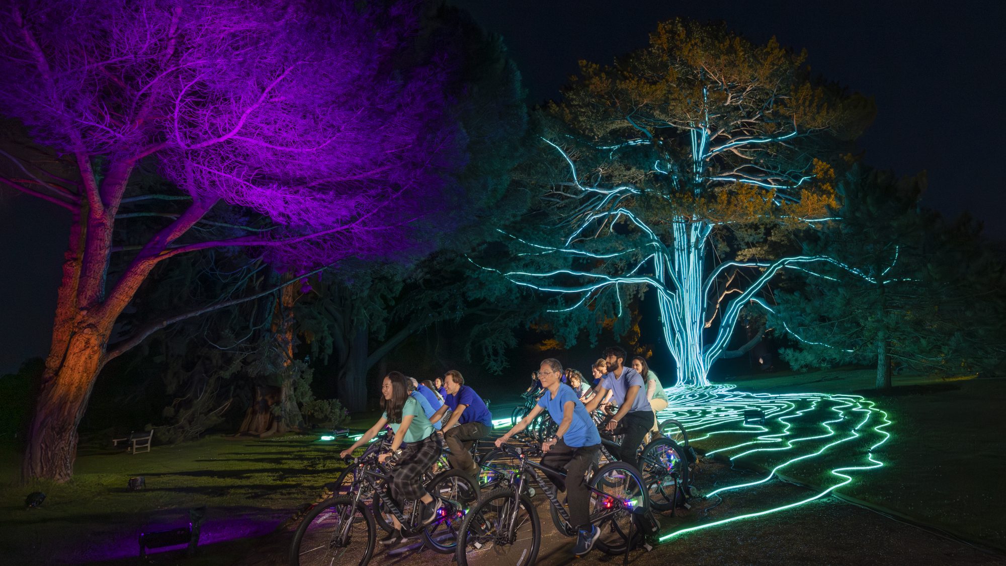 large tree beautifully lit up at night by threads of light