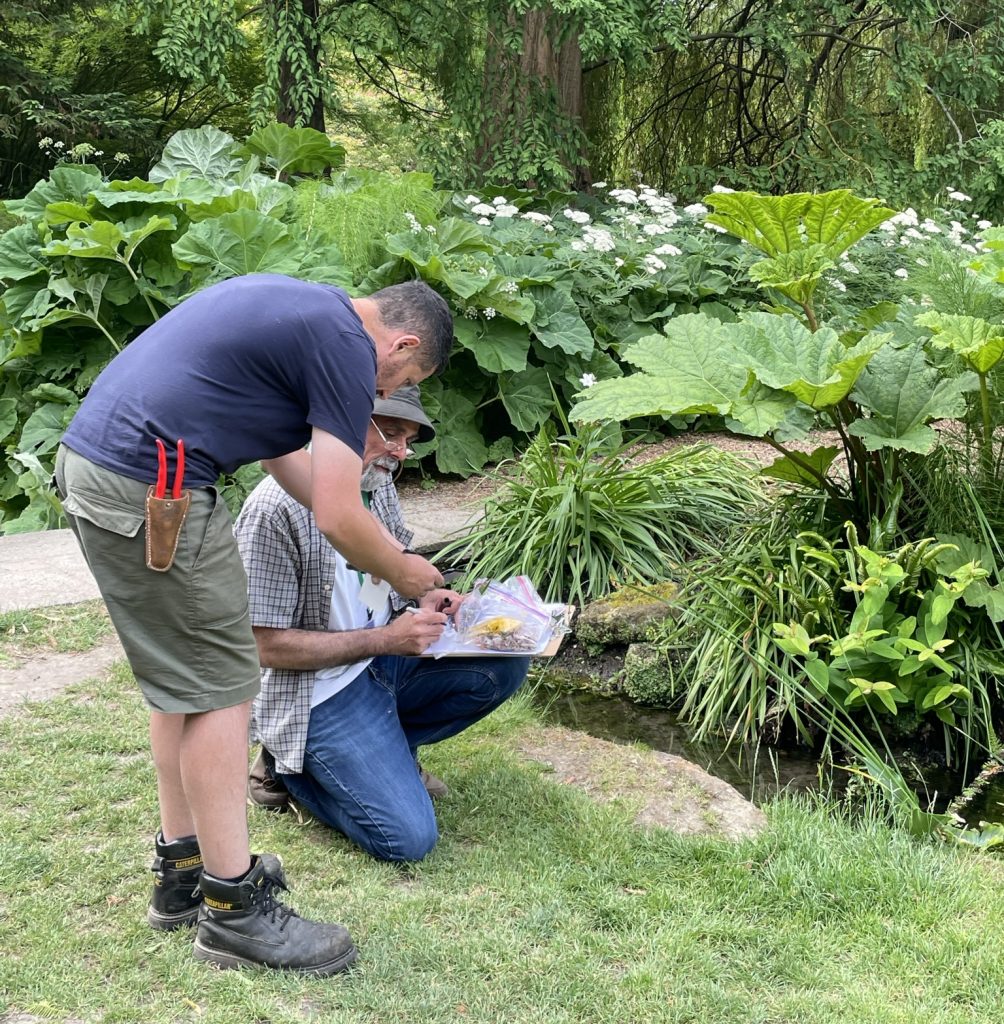 Nabil and Garden trainee out in the Stream Garden looking at collected plant material which is in bags, balanced on a board on Nabil's knee.