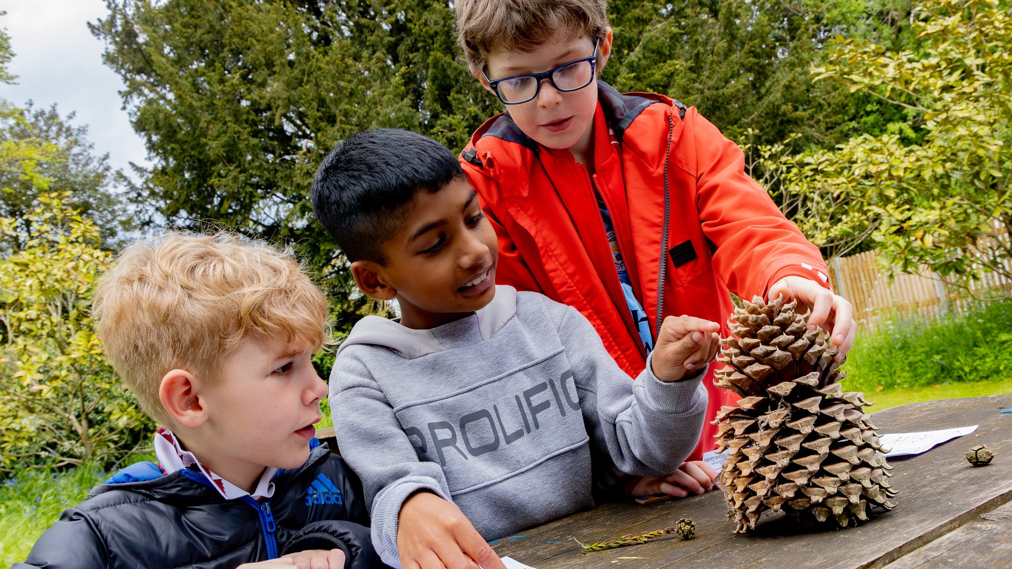 Children looking at a big pine cone