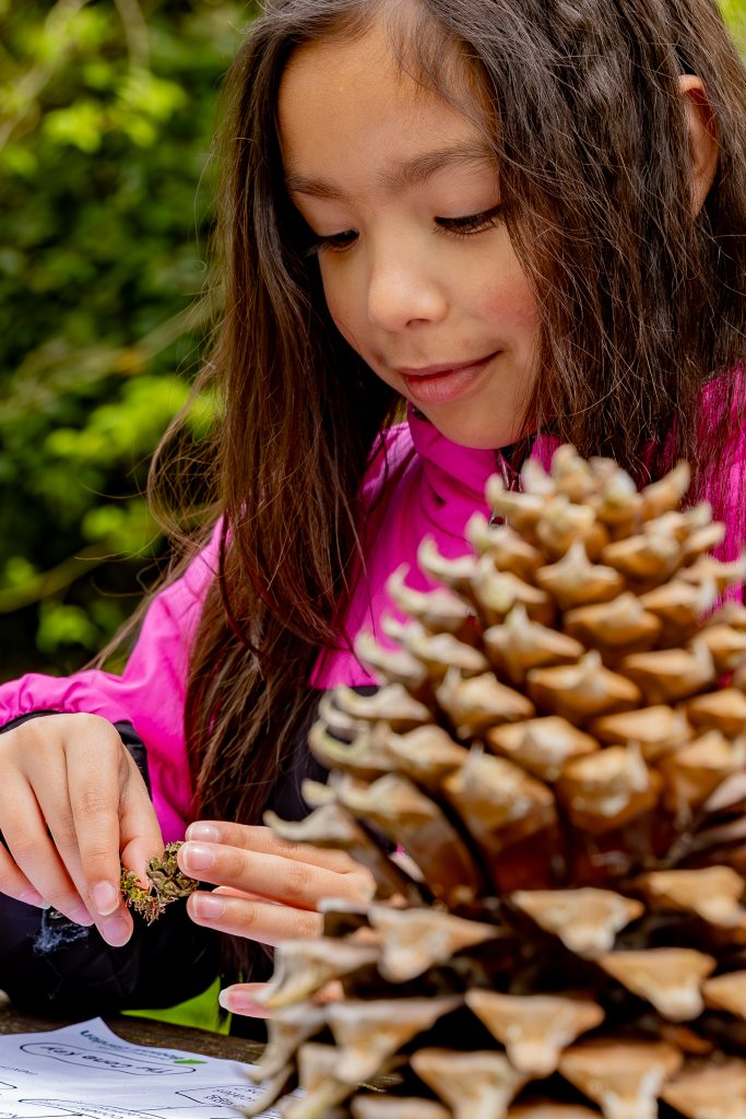 Child looking at cones