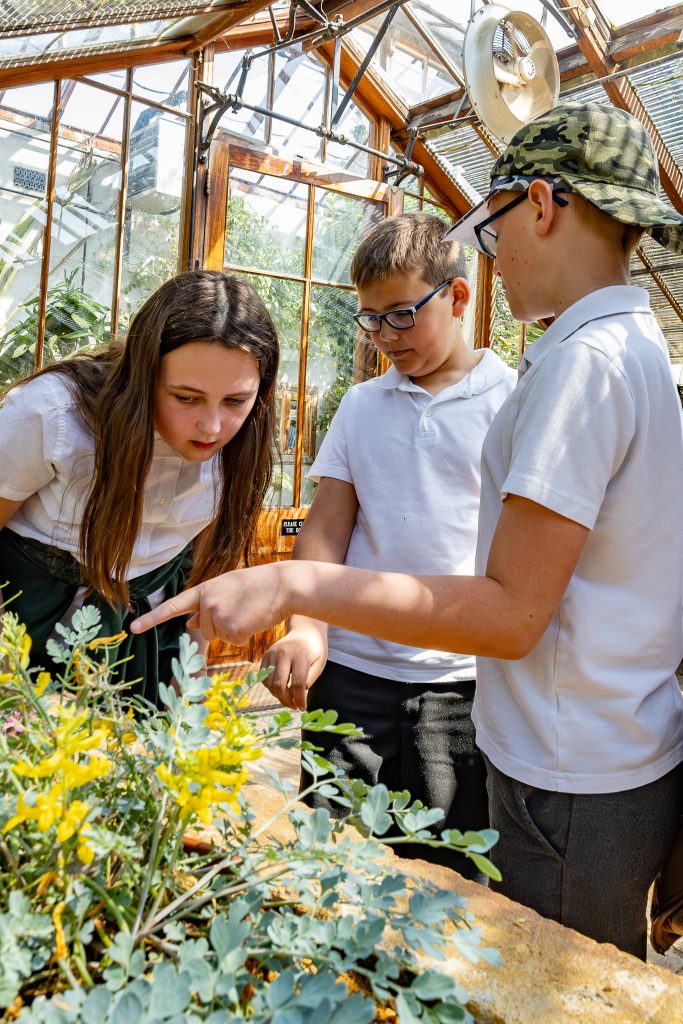 Children looking at mountain adapted plants