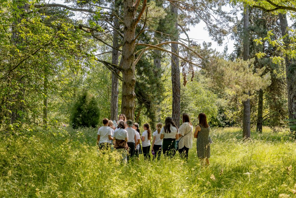 School group in the Pinetum