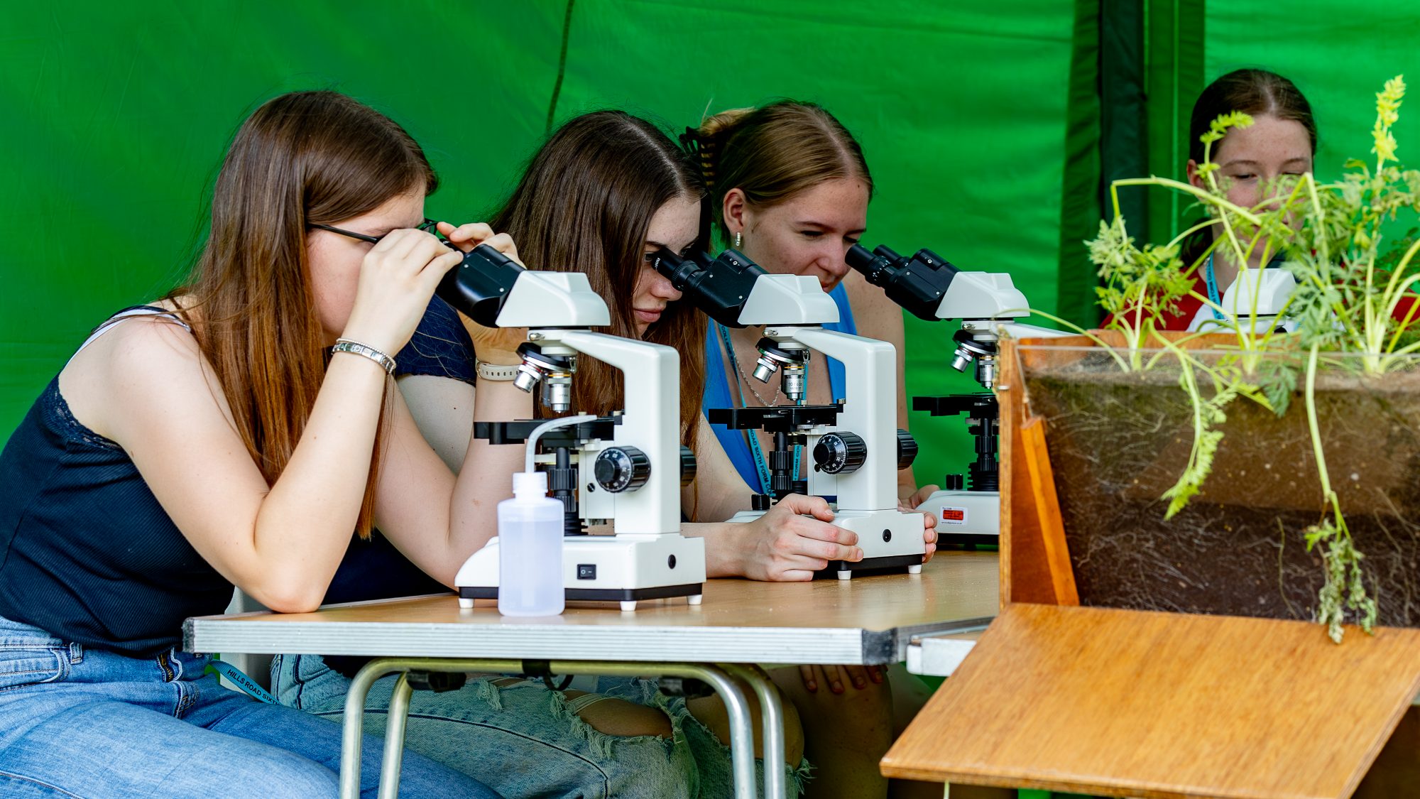 Students using microscopes