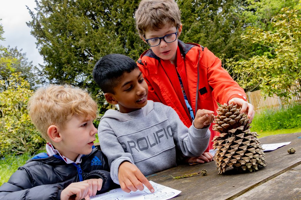 Three young boys studying a pinecone at a picnic table.