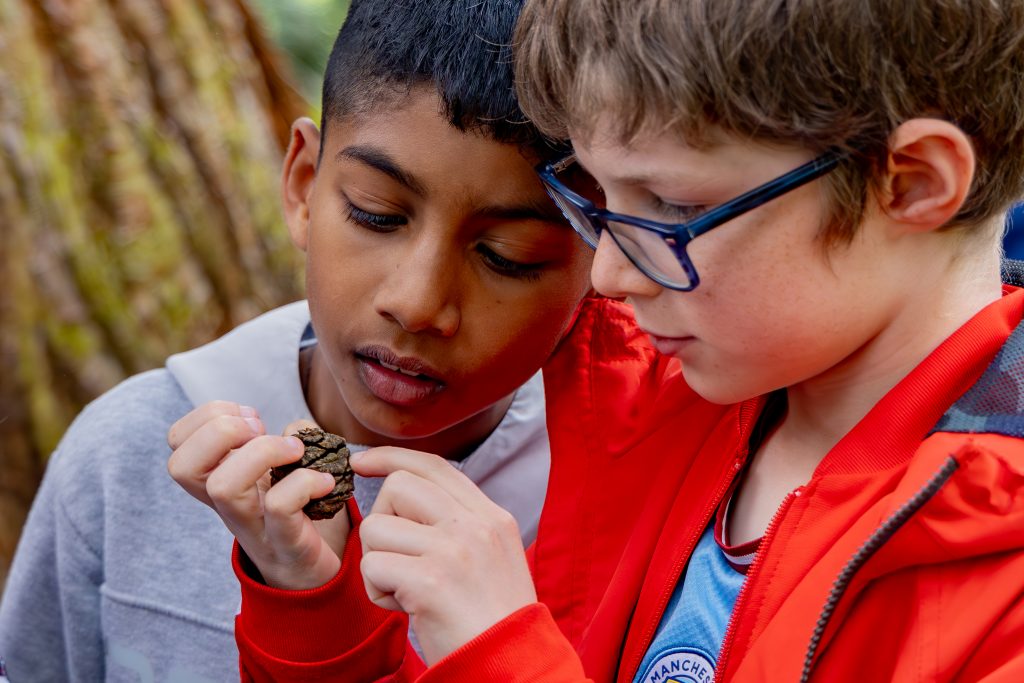 Two young boys studying a pinecone