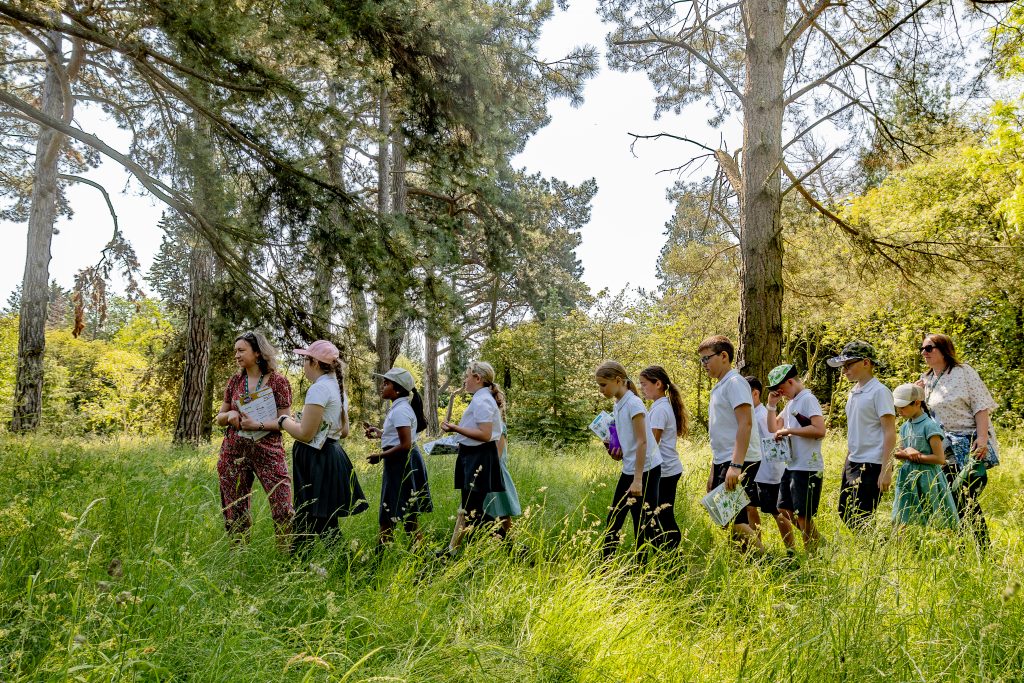 A group of school children in a woodland area.