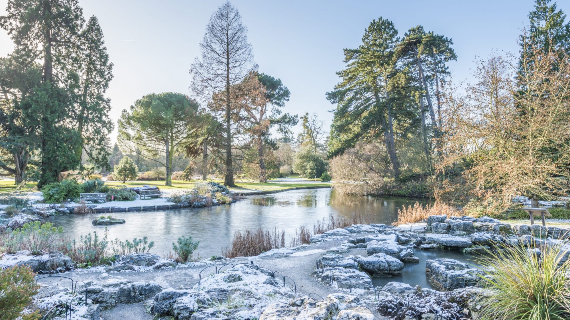 Lake surrounded by trees with a covering of winter frost