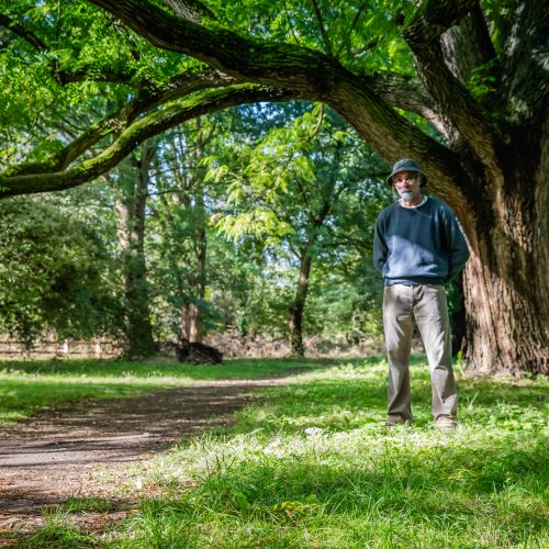 The artist who made ink from Newton's Apple Tree