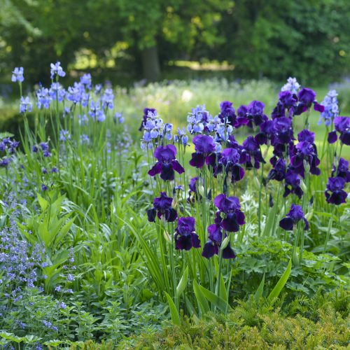 FULLY BOOKED Garden design: Right plant, right place