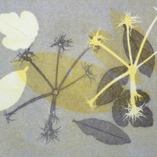 Monoprinting with leaves