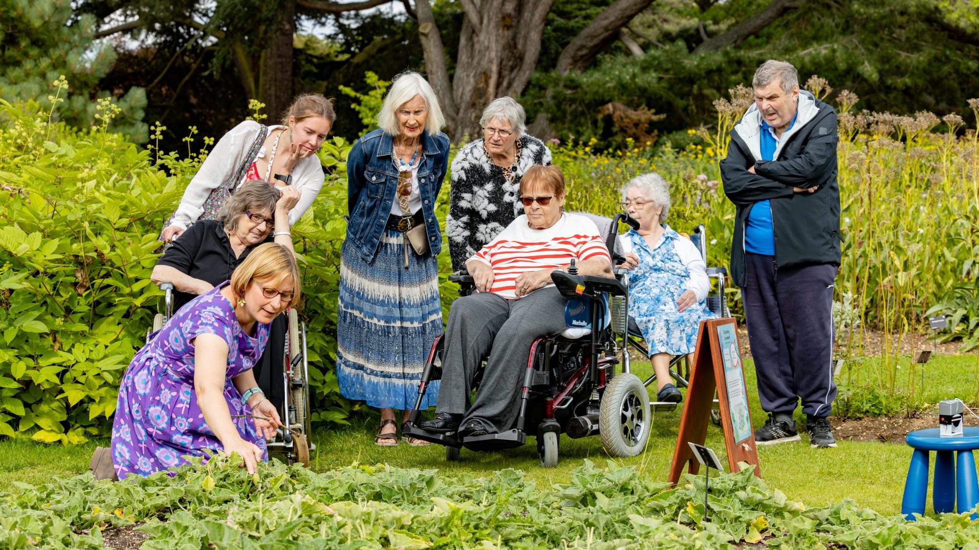 A group of people including some wheel-chair users is surrounded by plants looking on as someone is kneeling and pointing at the squirting cucumber plant