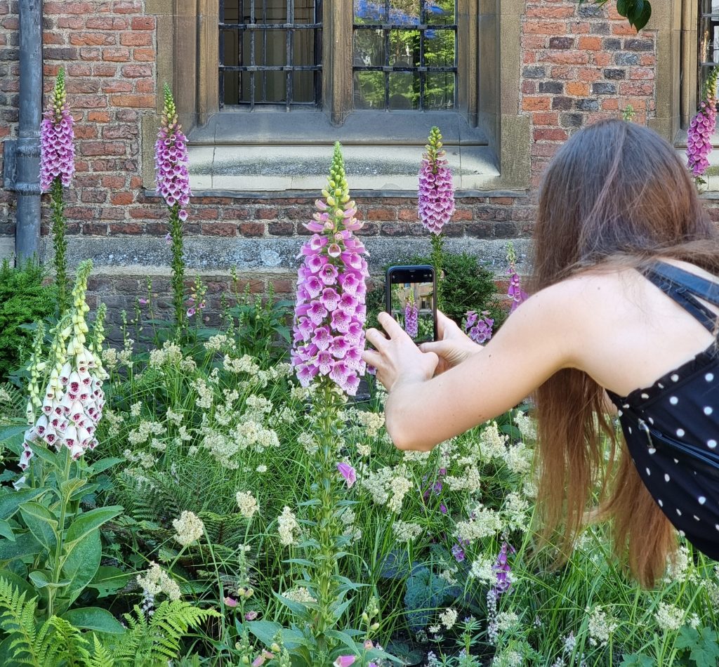 a photograph of a young woman taking pictures of a foxglove