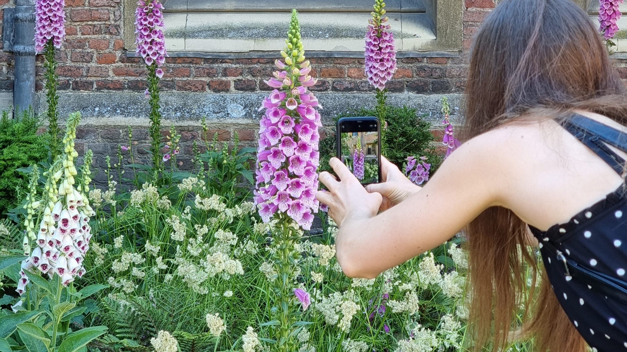 a photograph of a young woman taking pictures of a foxglove