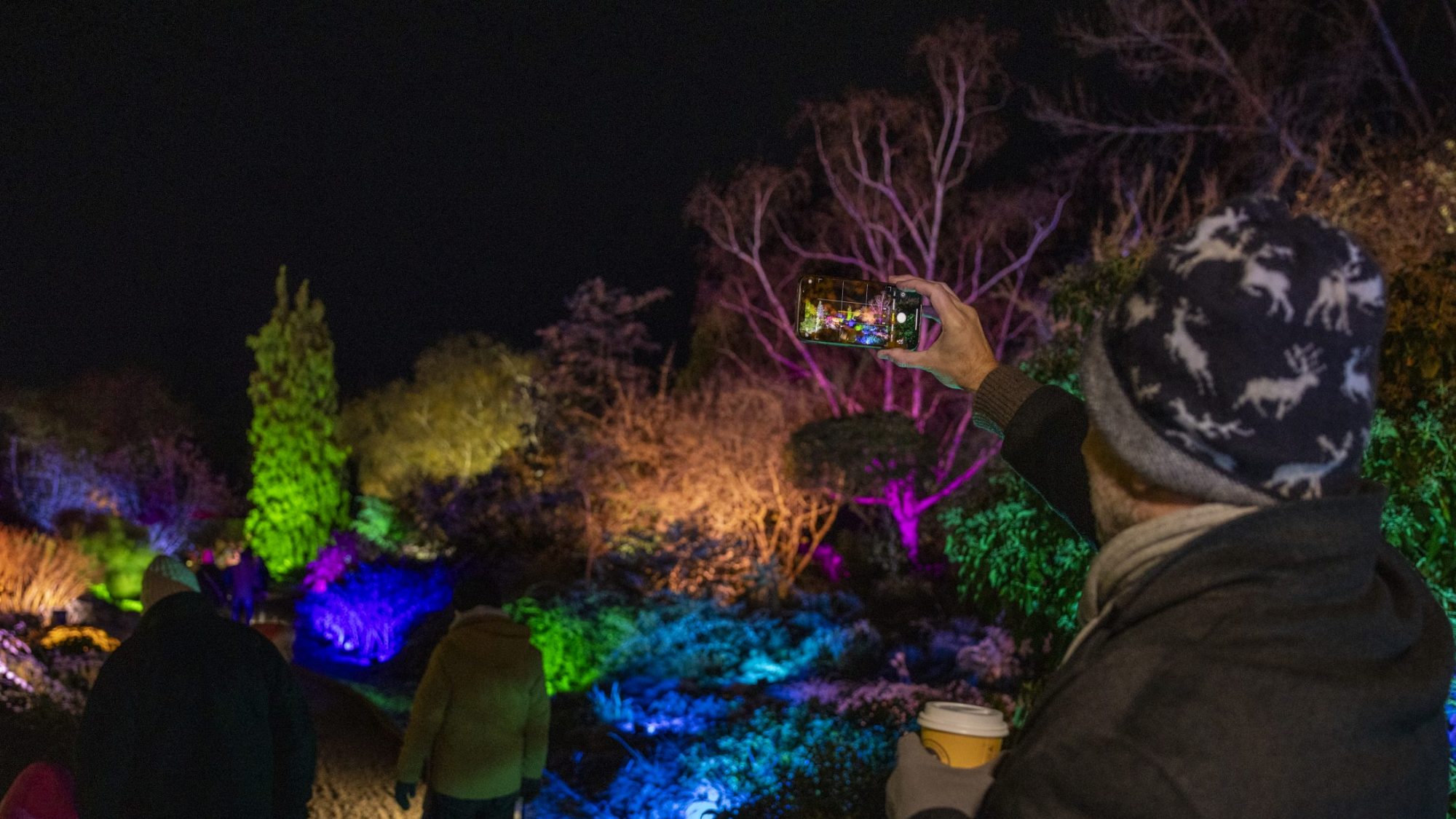 A man in a woolly hat takes a photo with his mobile phone of the winter garden illuminated with different bright colours of greens, pinks and blues.