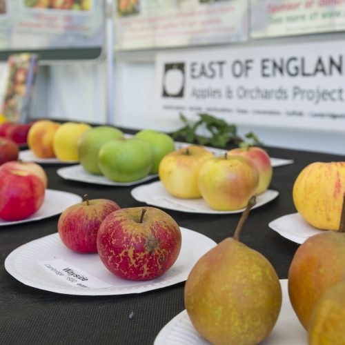 Apple Day 2024