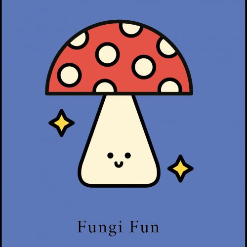 Fungi Fun