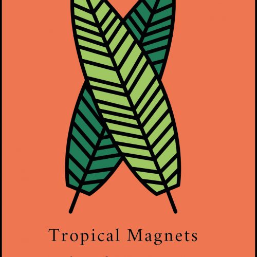 Tropical Magnets