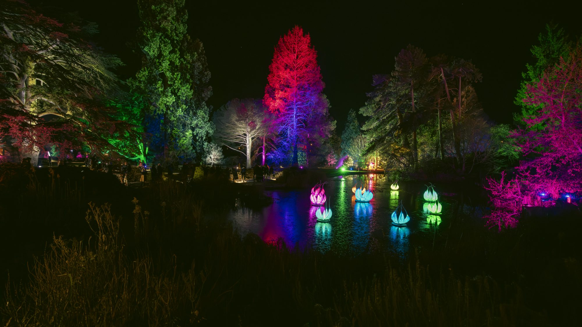 A frozen lake reflects lanterns in the shape of water lilies and colourfully lit trees.