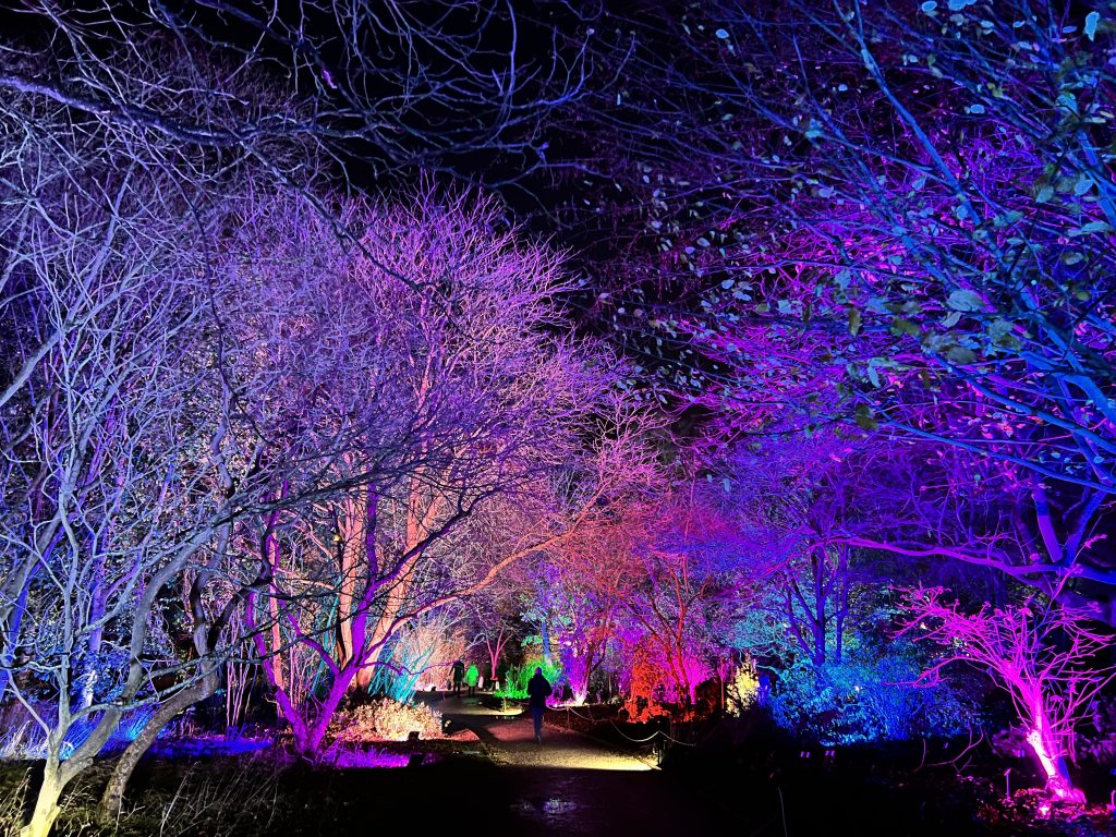 A path is lined with trees lit in pinks and blues, with silhouettes of figures talking along.