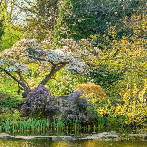 What’s On this Spring 2024
