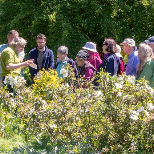 FREE Drop-in Highlights Tours