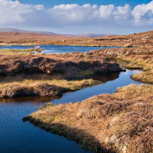 The Importance of Peatlands