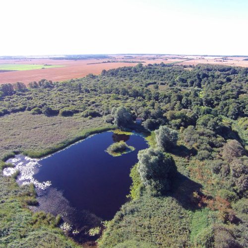The Great Fen