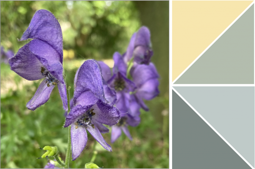Purple small flowers. Dye Colour: Grey-Bluish-Green, Sage Green and Yellow.