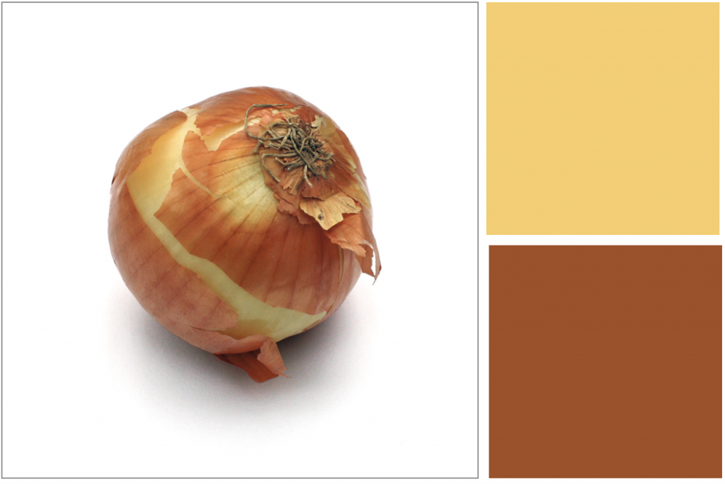 Orange skinned onion. Dye Colour: Orange and Yellow.