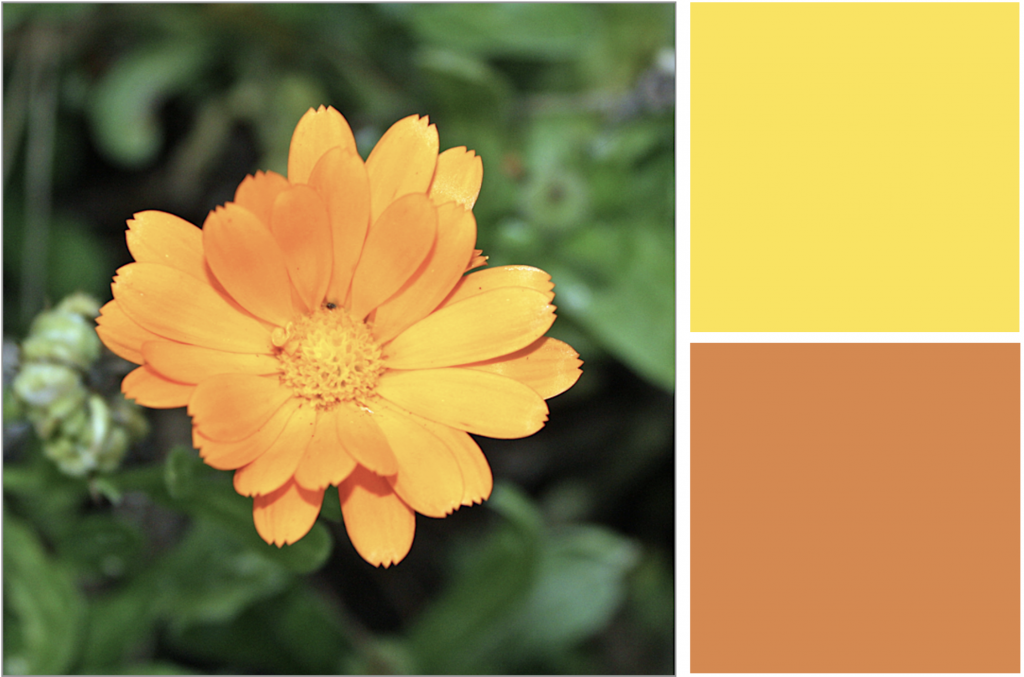 Orange petal flower with round centre. Dye Colour: Orange and Yellow.