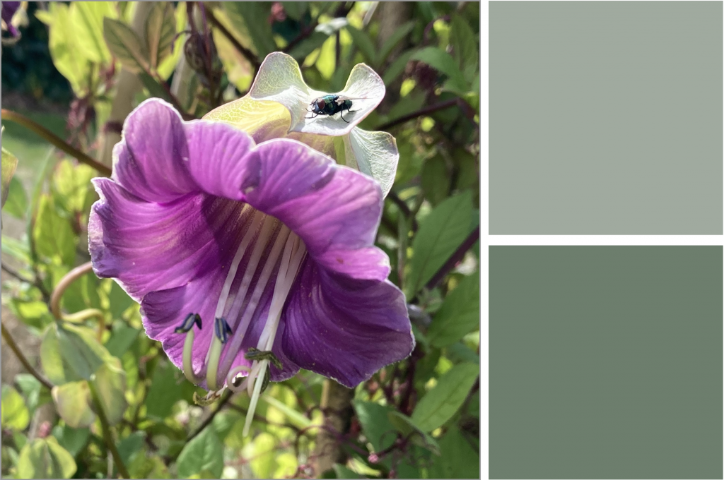 Purple flower and green leaves. Dye Colour: Soft Greens.