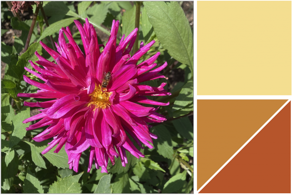 Magenta-Pink flower with Yellow-Orange centre with green leaves. Dye Colour: Yellow and Tan-Orange.