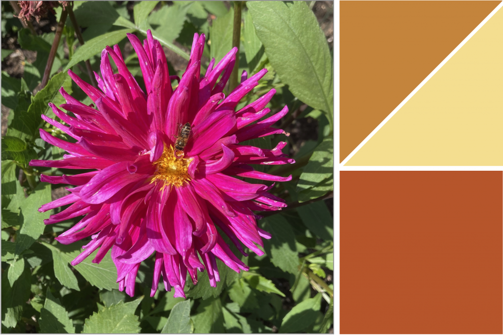Pinkish-Purple petal flower with jaggered Green leaves. Dye Colour: Orange and Yellow.