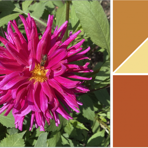FULLY BOOKED The science and art of plant colour