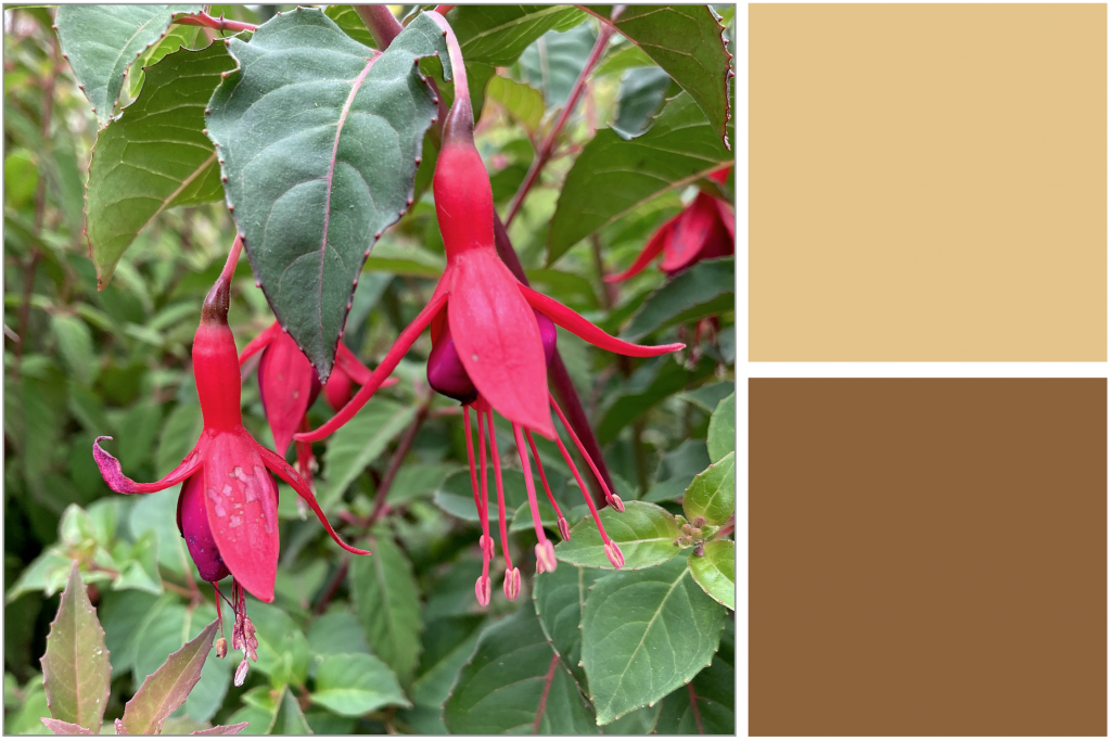 Red petalled hanging flowers with green leaves. Dye Colour: Tan-Yellow and Brown