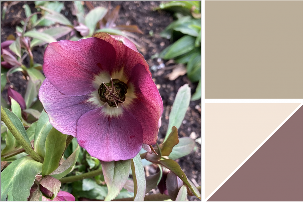 Delicate Purple flower with a Yellow sunburst centre. Dye Colour: Purple, Light Pink and Tan-Green.