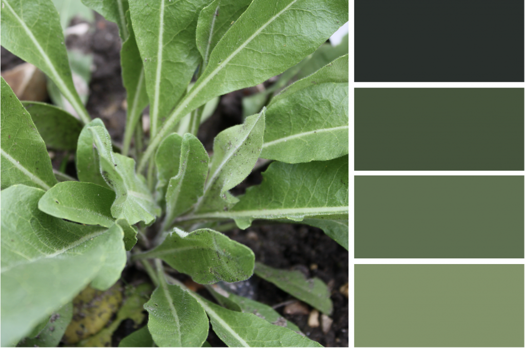 Elongated Green leaves. Dye Colour: Green.