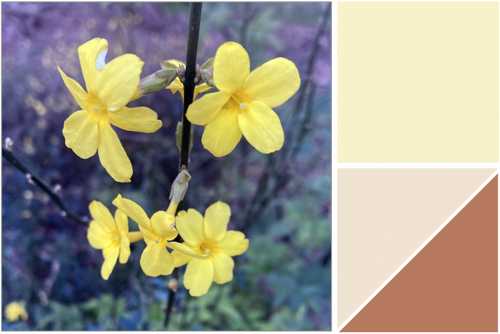 Five-petalled Yellow Flower. Dye Colour: Pale-Yellow, Light Salmon and Rusty shade.