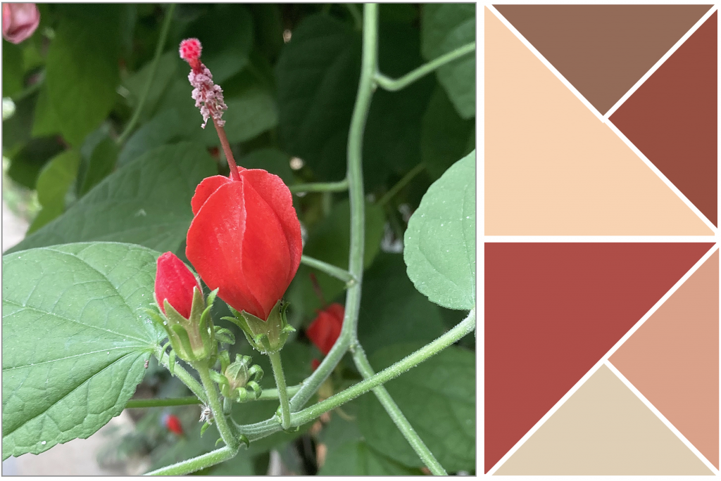 Red flower pod with Green leaves. Dye Colour: Red, Terracotta and Pink.