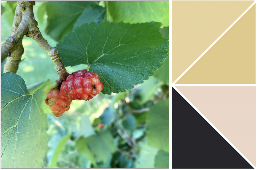 Jaggered Green leaves and Reddish-Pink fruit. Dye Colour: Yellow, Light-Pink and Black.