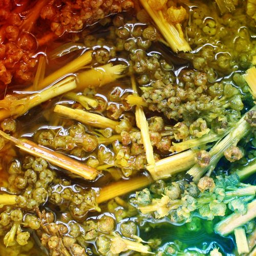 Dyes from Plants