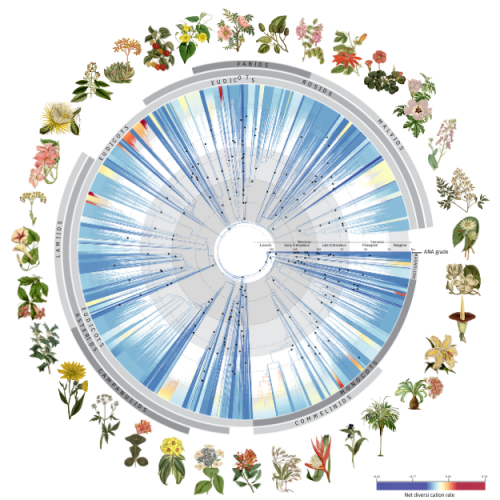 Redefined ‘Tree of Life’ revealed in new Nature paper