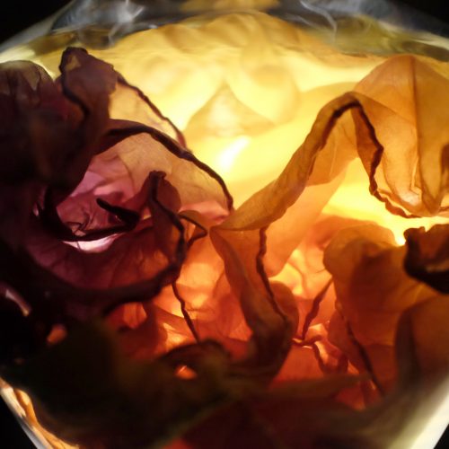Botanic Dyes